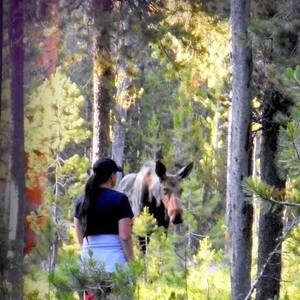 Meet your Posher, Laura